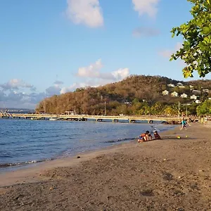 https://kaza-nostra.comcaribbean.com